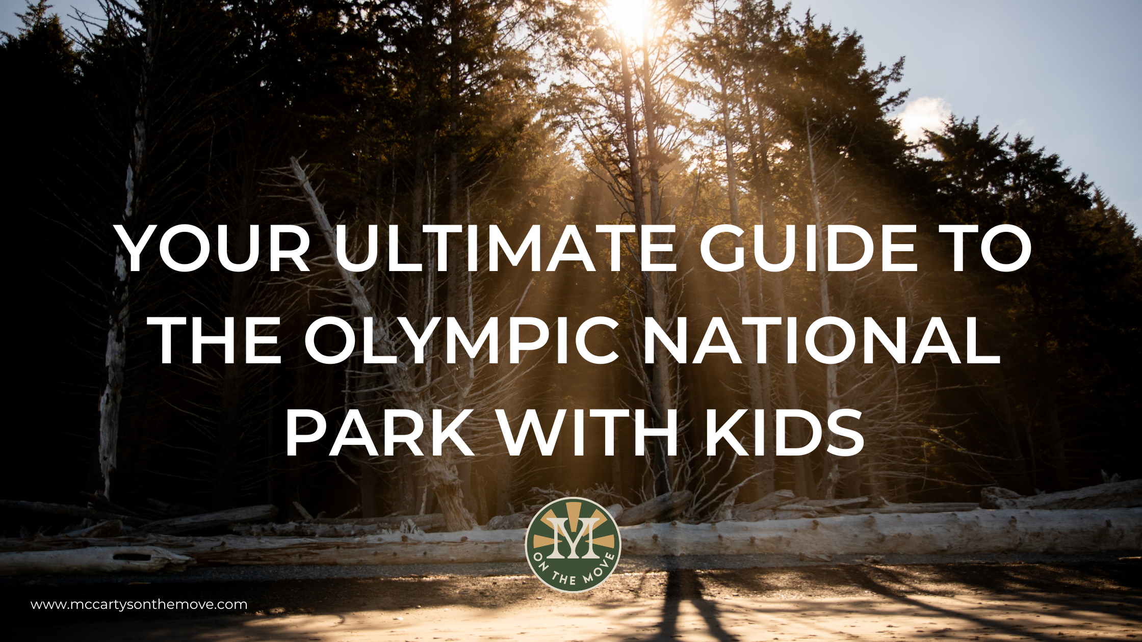 Your Ultimate Guide To The Olympic National Park With Kids